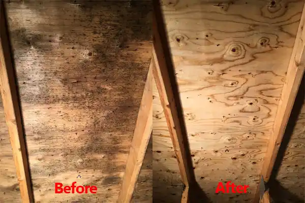 water damage restoration service Meridian Station